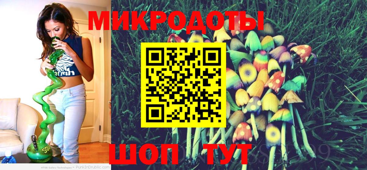 Псилоцибиновые грибы Psilocybe  Вход с VPN  Кунгур 